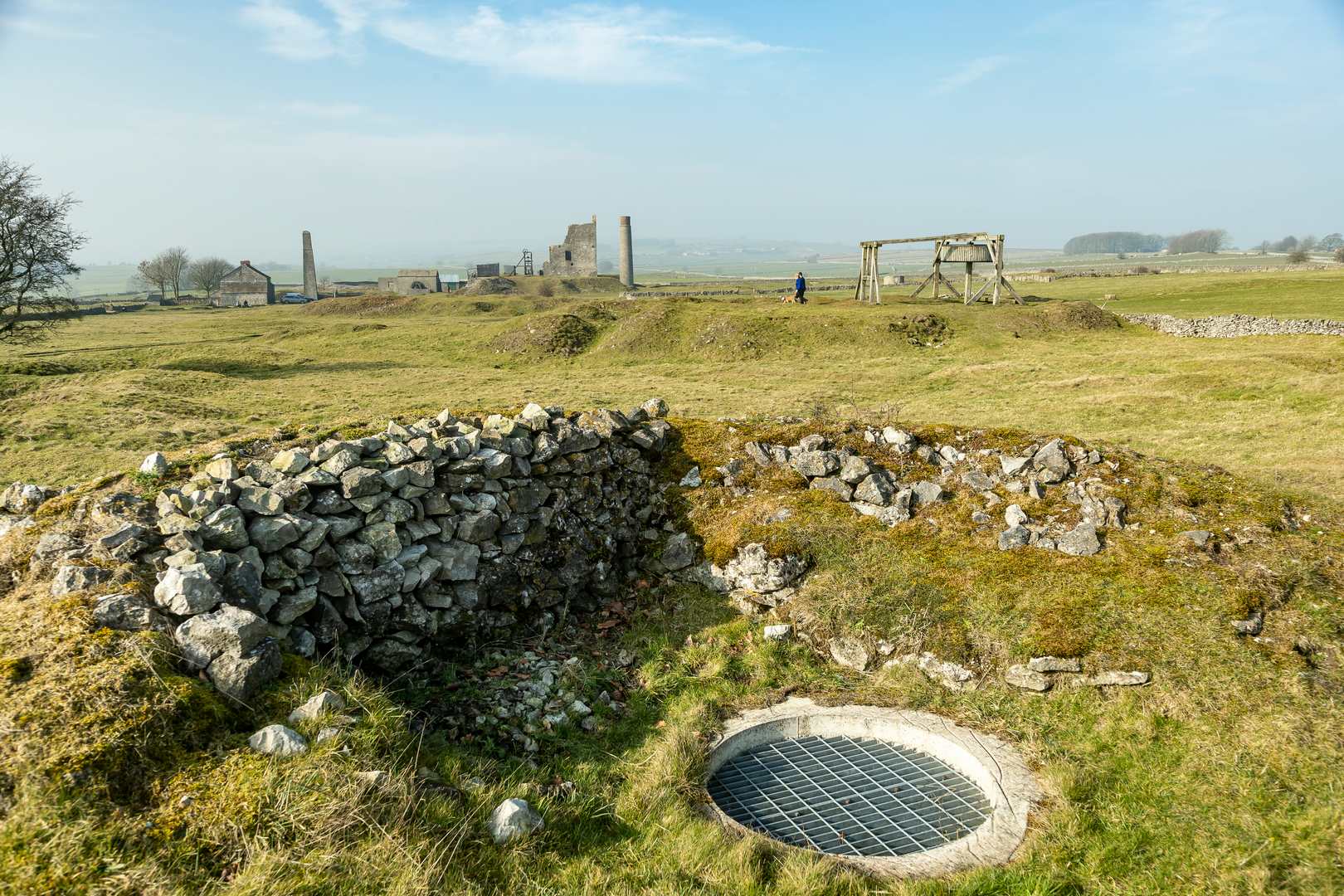 Magpie site 2017, submitted by Dickie Bird on 20-03-2026.
© Richard Bird Magpie site 2017